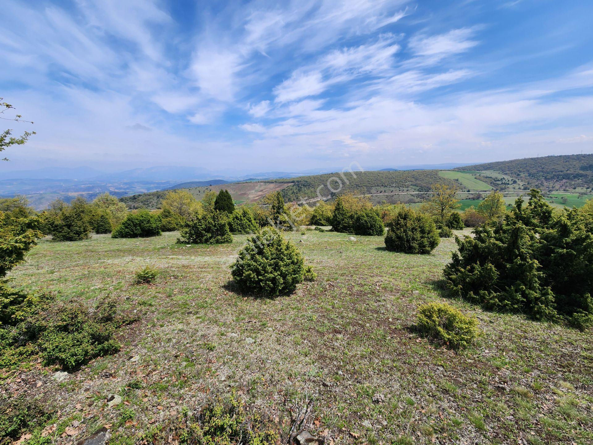 Bilecik Merkez Şükraniye Mah. 1073 M2 Tarla Köy Manzaralı - Görsel 3