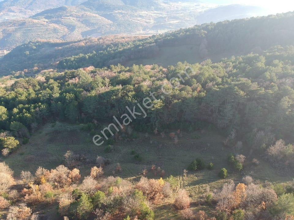 Balıkesir Savaştepe Merkezin Yanında 1802 M2 Tarla 210 Bin Tl - Görsel 13