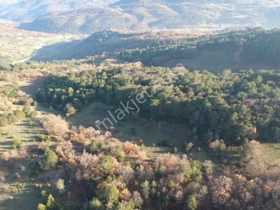 Balıkesir Savaştepe Merkezin Yanında 1802 M2 Tarla 210 Bin Tl - Görsel 5