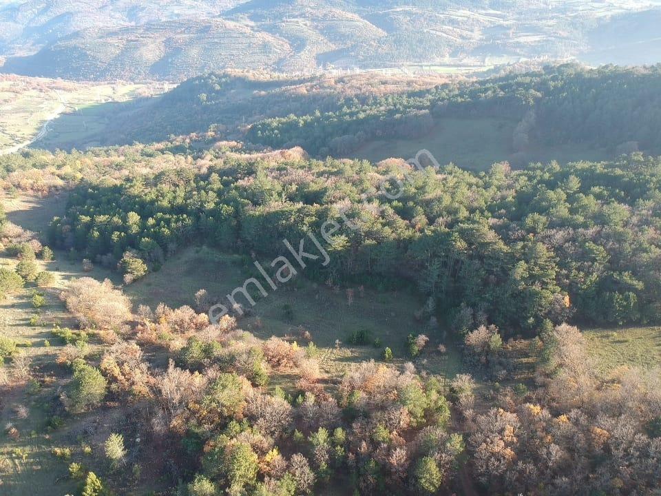Balıkesir Savaştepe Merkezin Yanında 1802 M2 Tarla 210 Bin Tl - Görsel 9