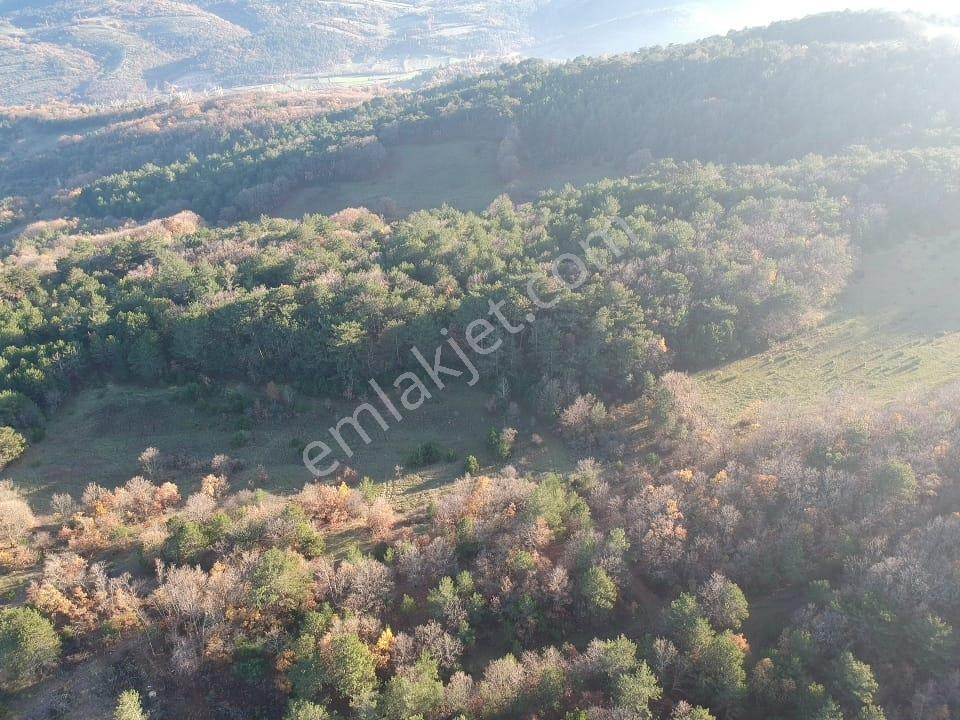 Balıkesir Savaştepe Merkezin Yanında 1802 M2 Tarla 210 Bin Tl - Görsel 22