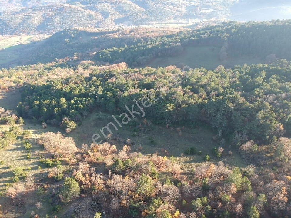 Balıkesir Savaştepe Merkezin Yanında 1802 M2 Tarla 210 Bin Tl - Görsel 3