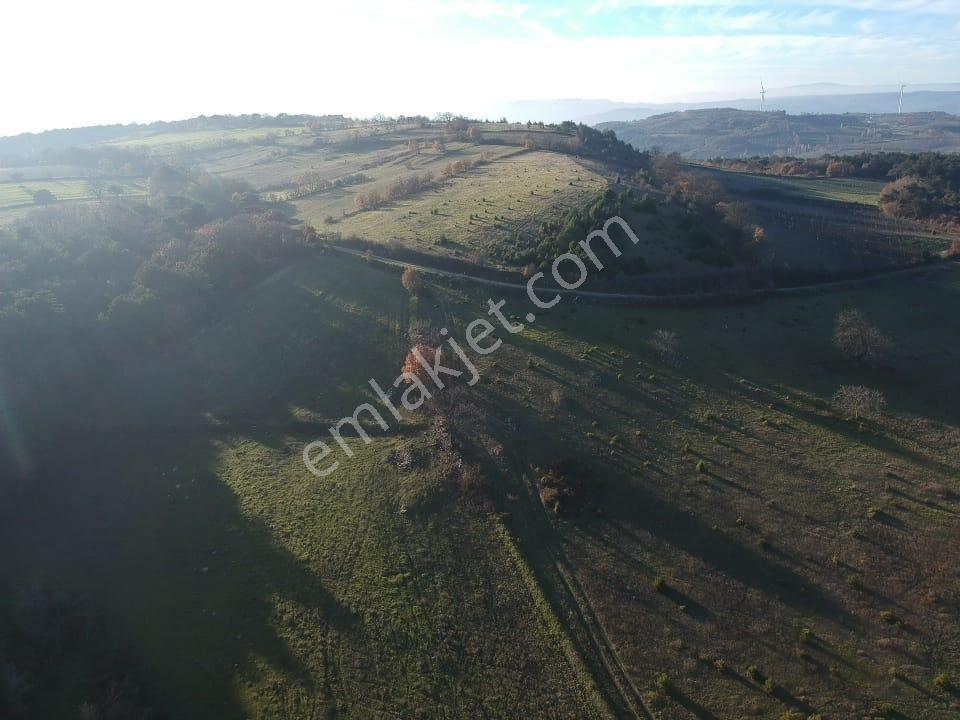 Balıkesir Savaştepe Merkezin Yanında 1802 M2 Tarla 210 Bin Tl - Görsel 16