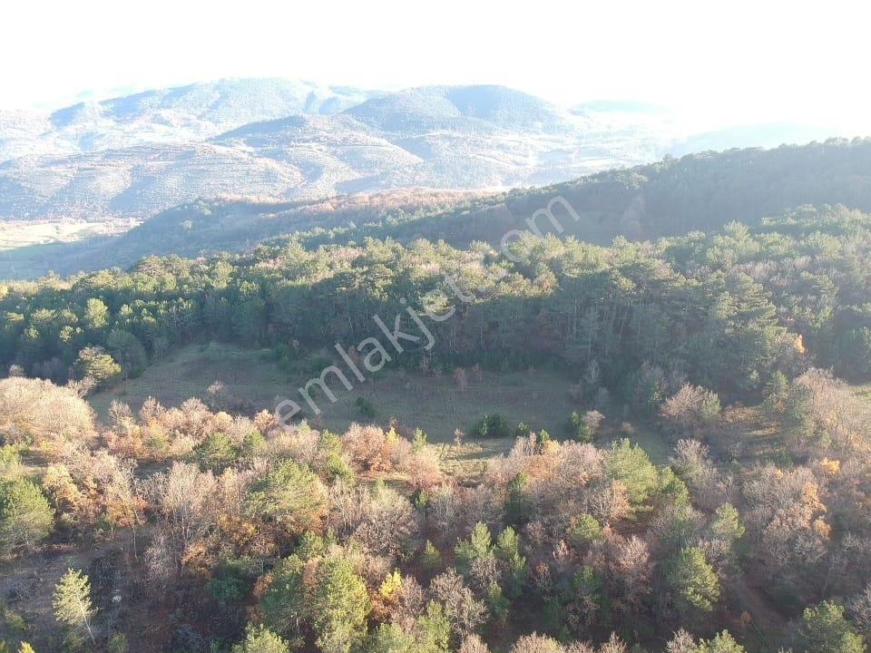 Balıkesir Savaştepe Merkezin Yanında 1802 M2 Tarla 210 Bin Tl - Görsel 12