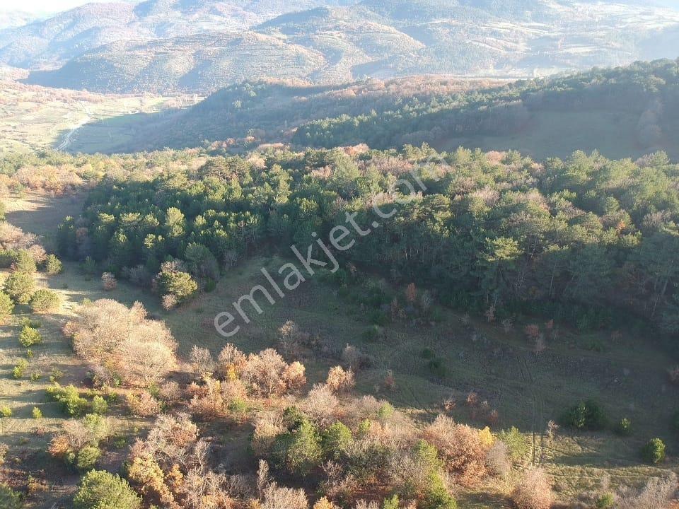 Balıkesir Savaştepe Merkezin Yanında 1802 M2 Tarla 210 Bin Tl - Görsel 8