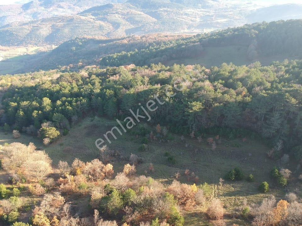 Balıkesir Savaştepe Merkezin Yanında 1802 M2 Tarla 210 Bin Tl - Görsel 19