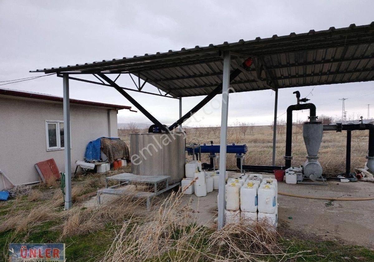 Adabağda 765 Dönüm Badem Bahçesi - Görsel 16