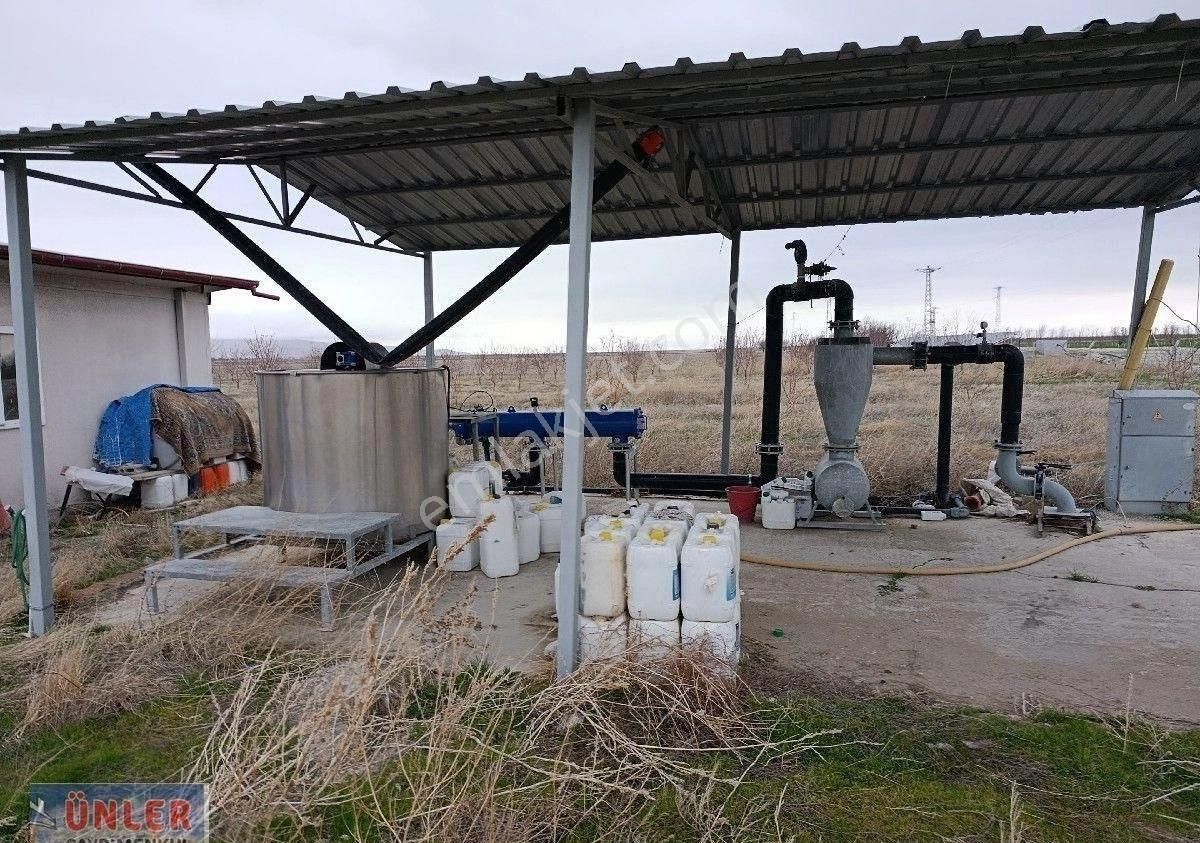 Adabağda 765 Dönüm Badem Bahçesi - Görsel 8