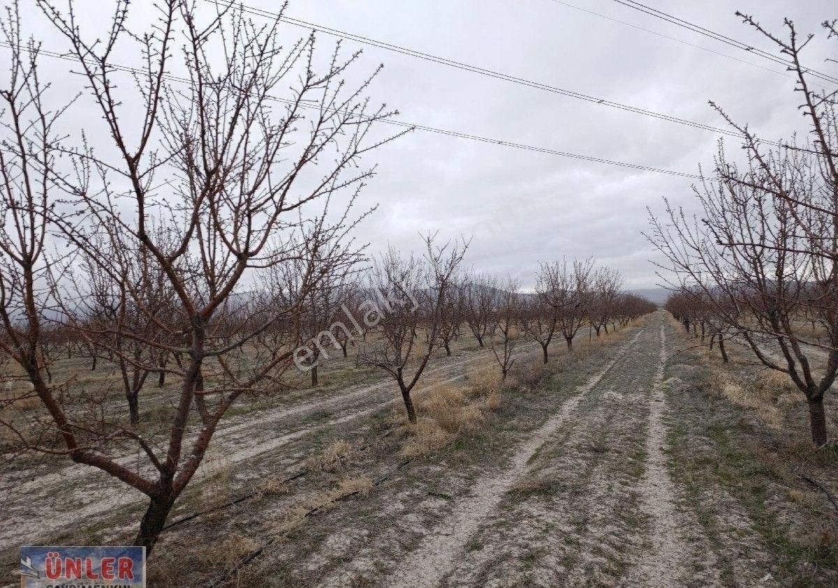 Adabağda 765 Dönüm Badem Bahçesi - Görsel 17