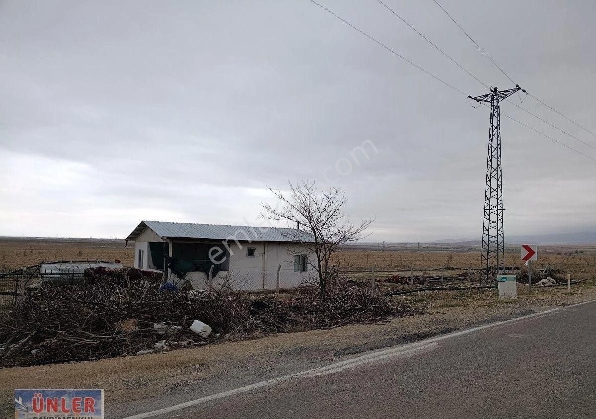 Adabağda 765 Dönüm Badem Bahçesi - Görsel 5