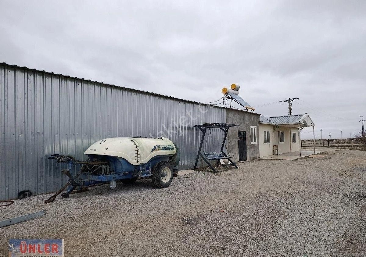 Adabağda 765 Dönüm Badem Bahçesi