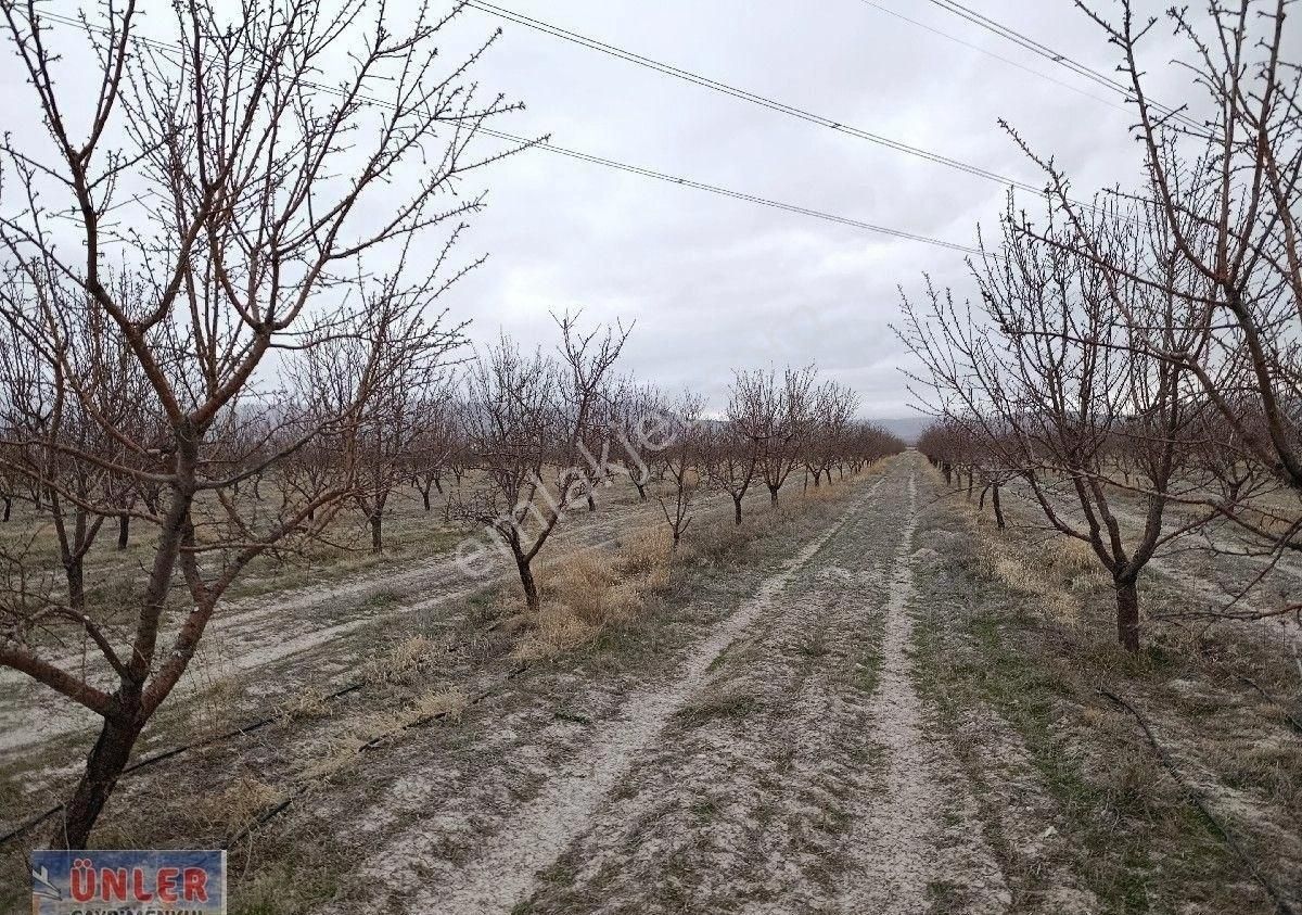 Adabağda 765 Dönüm Badem Bahçesi - Görsel 7