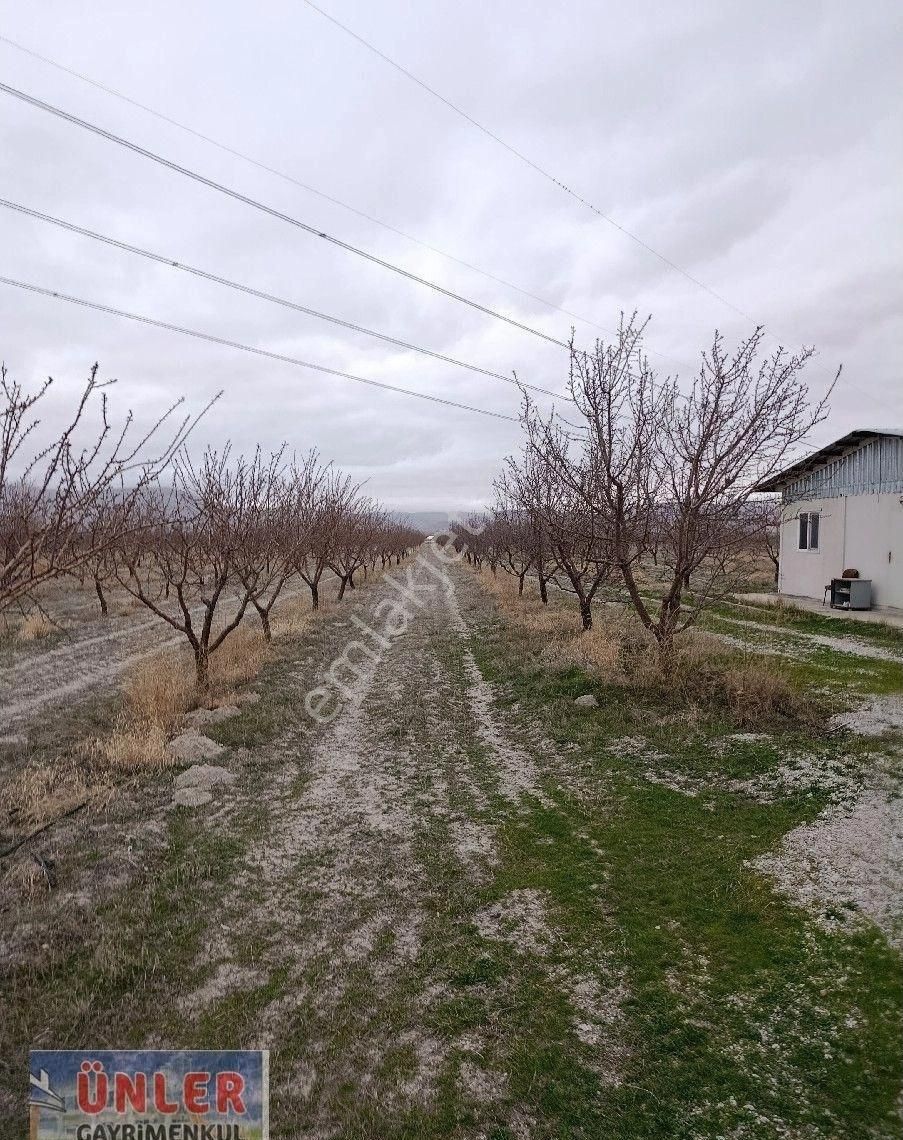 Adabağda 765 Dönüm Badem Bahçesi - Görsel 31