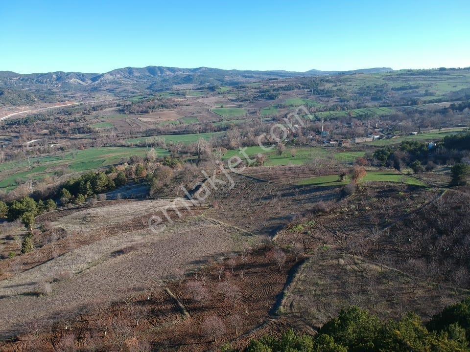 Bilecik Yenipazar Caferler Mah 1759 M2 Köy Dibi Meyve Bahçe Yanı - Görsel 32