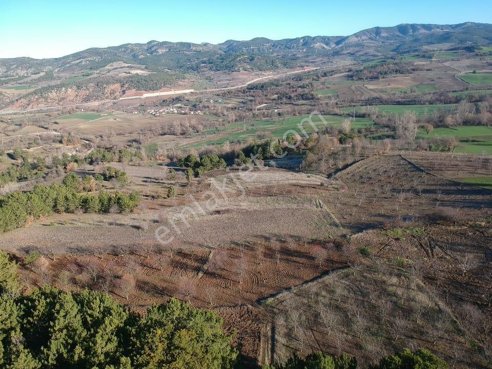 Bilecik Yenipazar Caferler Mah 1759 M2 Köy Dibi Meyve Bahçe Yanı - Görsel 12
