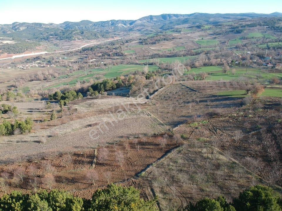 Bilecik Yenipazar Caferler Mah 1759 M2 Köy Dibi Meyve Bahçe Yanı - Görsel 20