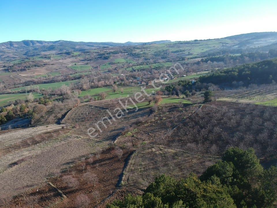 Bilecik Yenipazar Caferler Mah 1759 M2 Köy Dibi Meyve Bahçe Yanı - Görsel 5