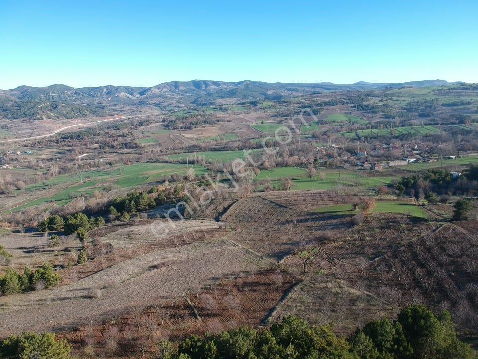 Bilecik Yenipazar Caferler Mah 1759 M2 Köy Dibi Meyve Bahçe Yanı - Görsel 26