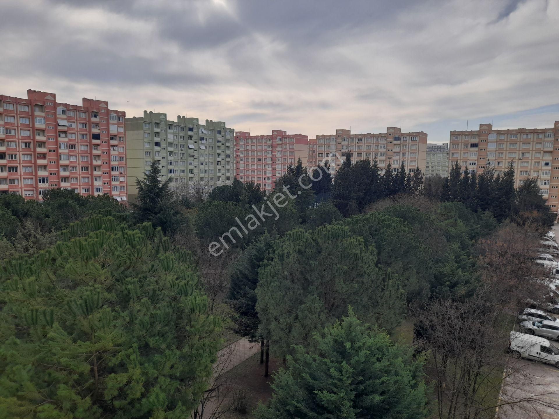 İhlas Marmara Evleri 2 Kısımda 2+1 Kiralık Daire - Görsel 25