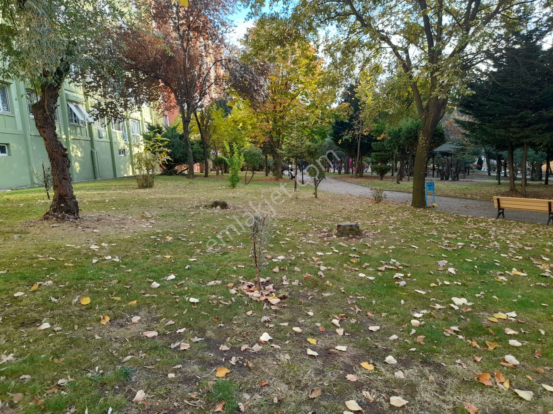 İhlas Marmara Evleri 2 Kısımda 2+1 Kiralık Daire - Görsel 10