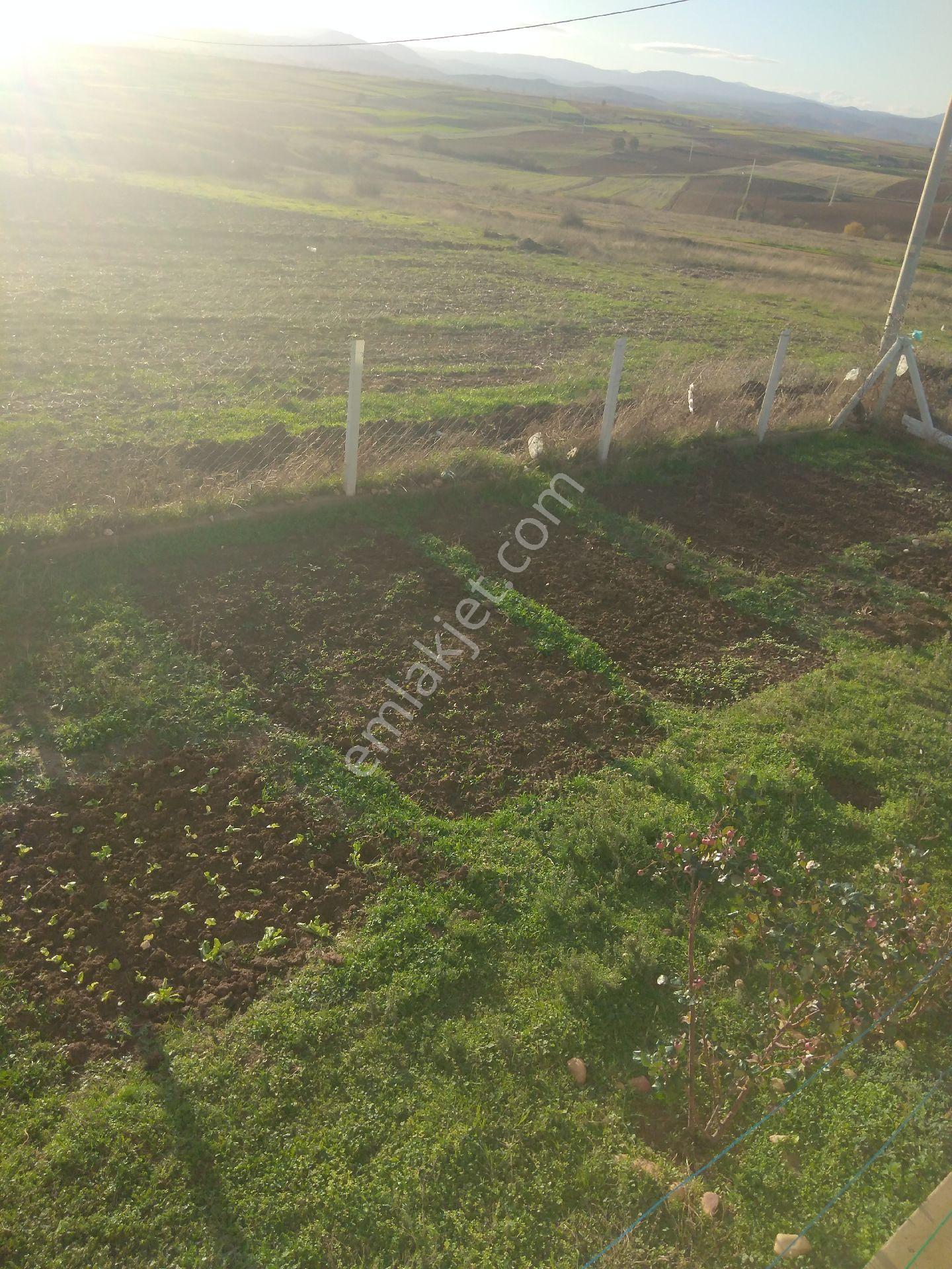 1000m2 Arsa İçinde 140m2 Villa Müstakil Ev Sahibinden - Görsel 27