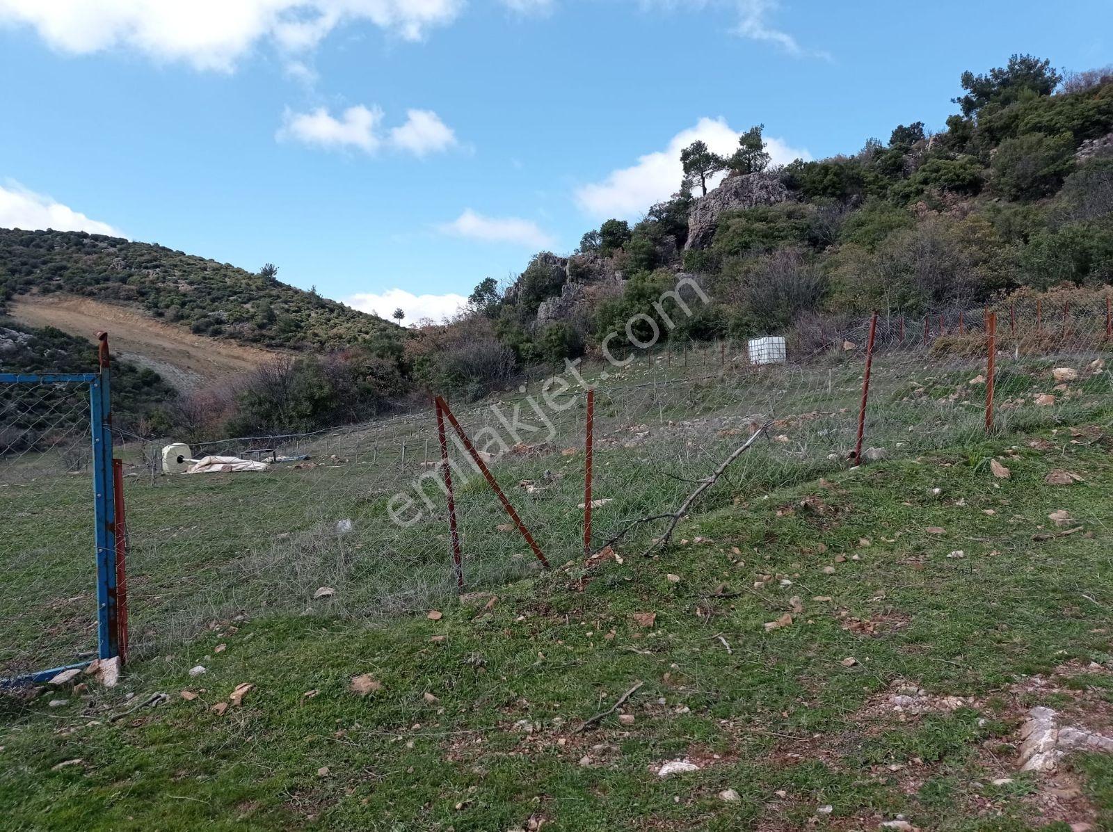 Akhisar Kabağaçkıran Mahallesi'nde Satılık Kupon Zeytinlik - Görsel 13