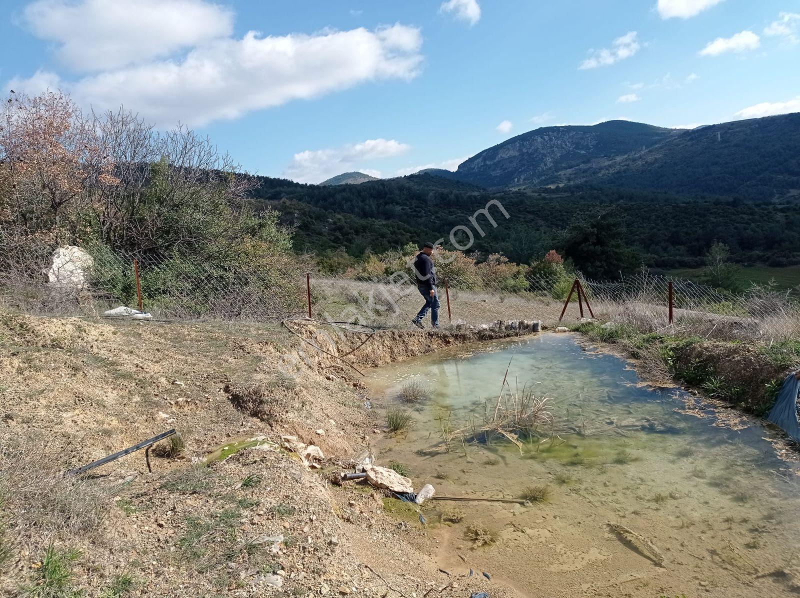 Akhisar Kabağaçkıran Mahallesi'nde Satılık Kupon Zeytinlik - Görsel 2