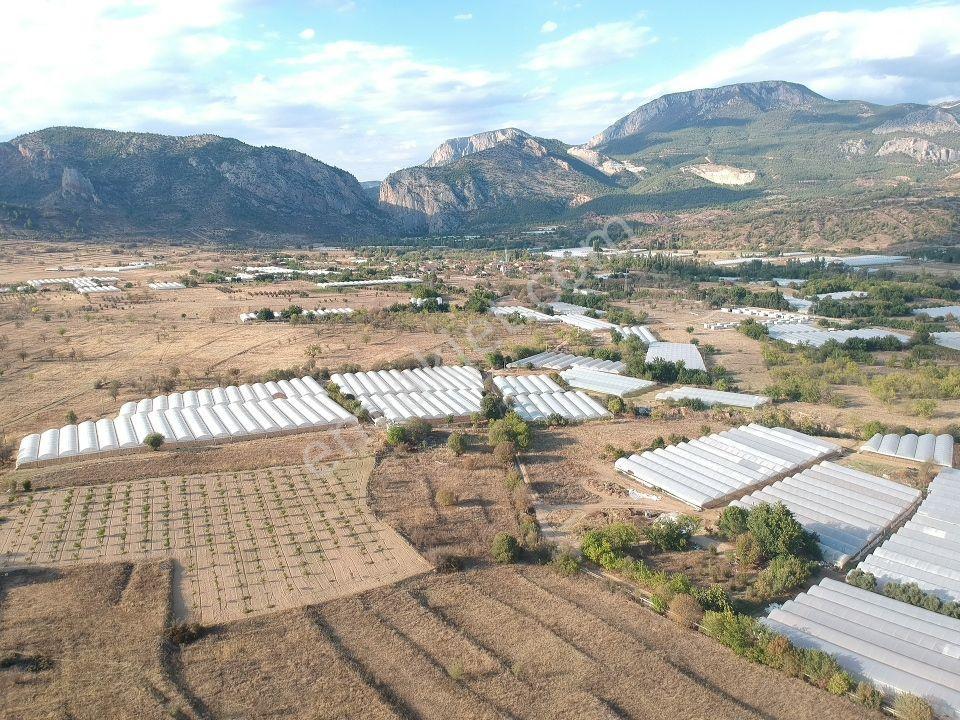 Bilecik Söğüt Hamitabat Seraların Yanı Köy Dibi 960 M2 Düz Tarla - Görsel 14