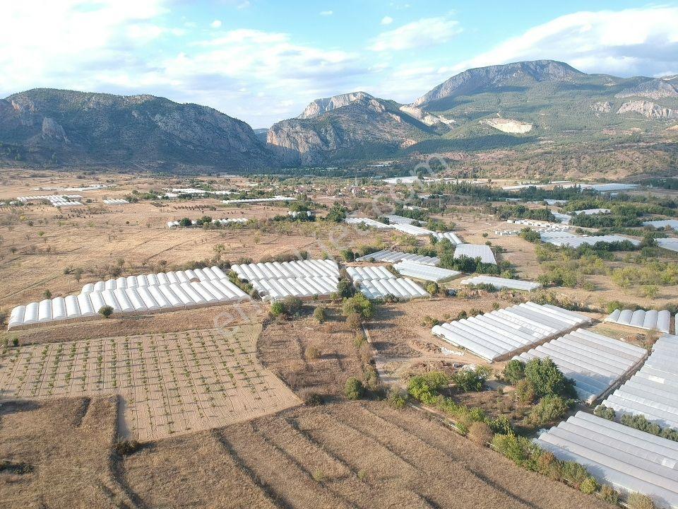 Bilecik Söğüt Hamitabat Seraların Yanı Köy Dibi 960 M2 Düz Tarla - Görsel 13
