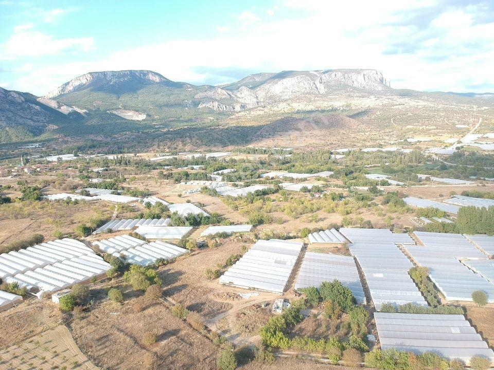 Bilecik Söğüt Hamitabat Seraların Yanı Köy Dibi 960 M2 Düz Tarla - Görsel 8