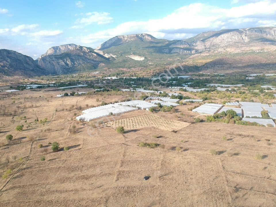Bilecik Söğüt Hamitabat Seraların Yanı Köy Dibi 960 M2 Düz Tarla - Görsel 22