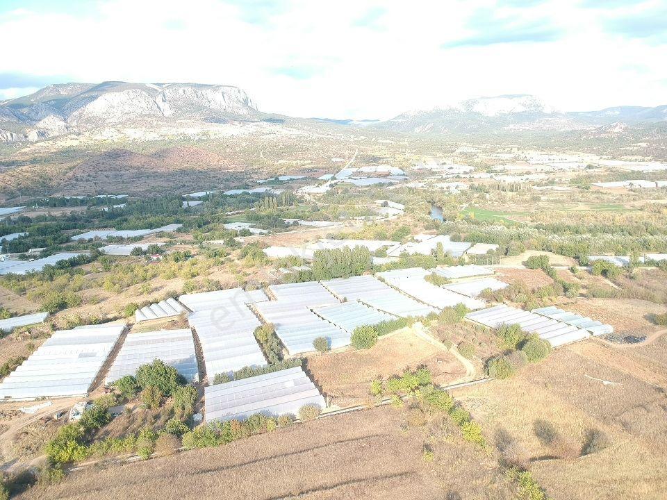 Bilecik Söğüt Hamitabat Seraların Yanı Köy Dibi 960 M2 Düz Tarla - Görsel 26