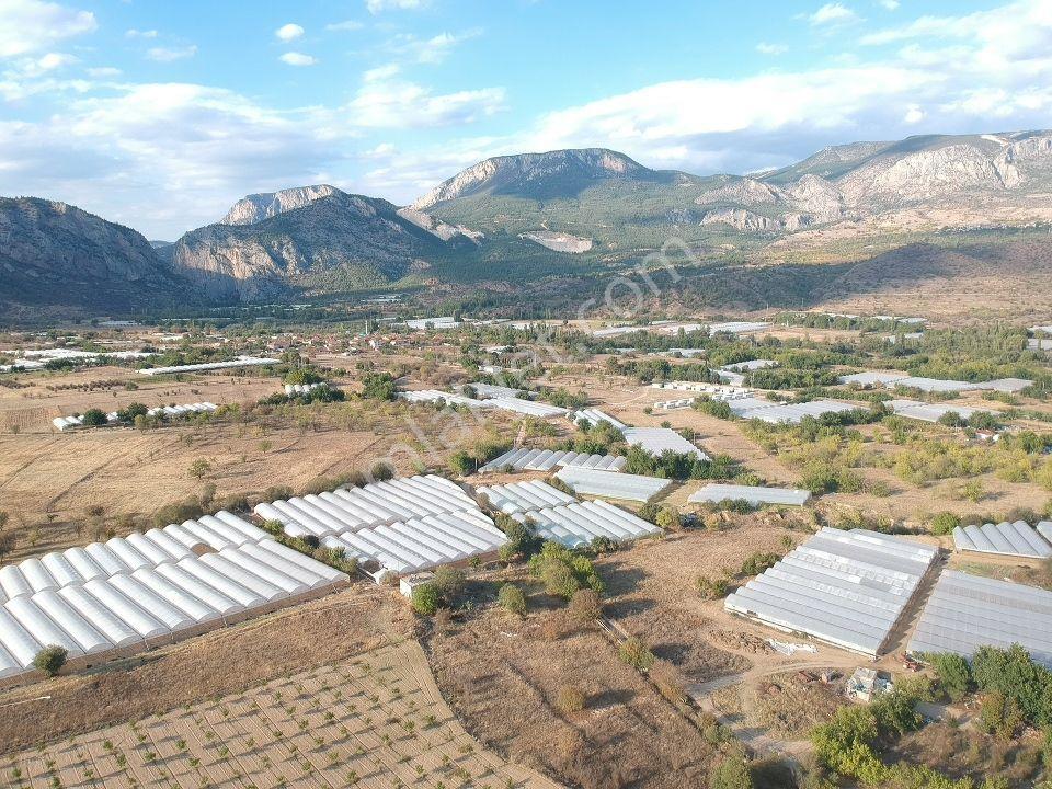 Bilecik Söğüt Hamitabat Seraların Yanı Köy Dibi 960 M2 Düz Tarla - Görsel 4