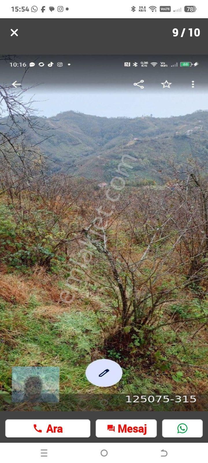 Perşembe Ortatepe J Köyünde Üzerinde İki Katlı Ev Olan Yedi Dönüm Arazi Satılık - Görsel 7