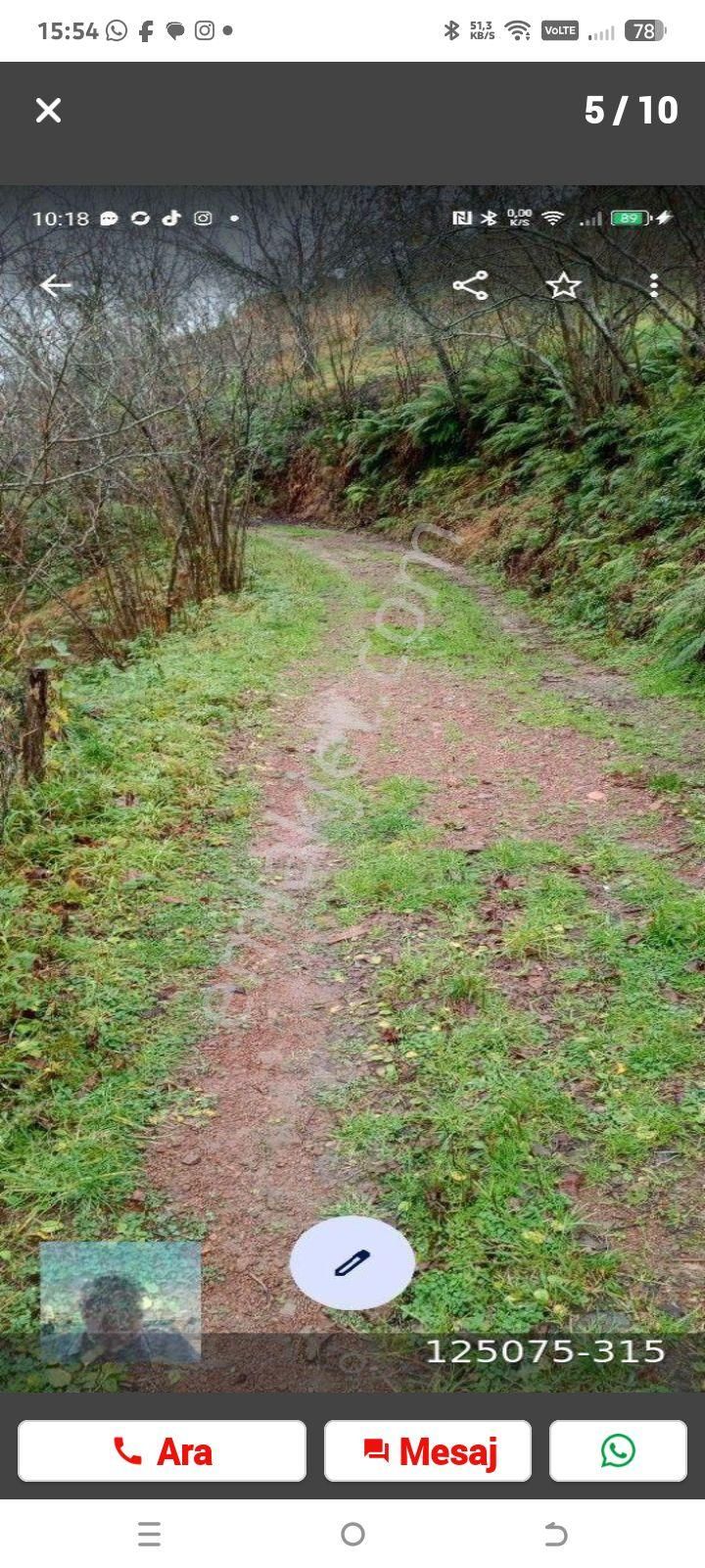Perşembe Ortatepe J Köyünde Üzerinde İki Katlı Ev Olan Yedi Dönüm Arazi Satılık - Görsel 4