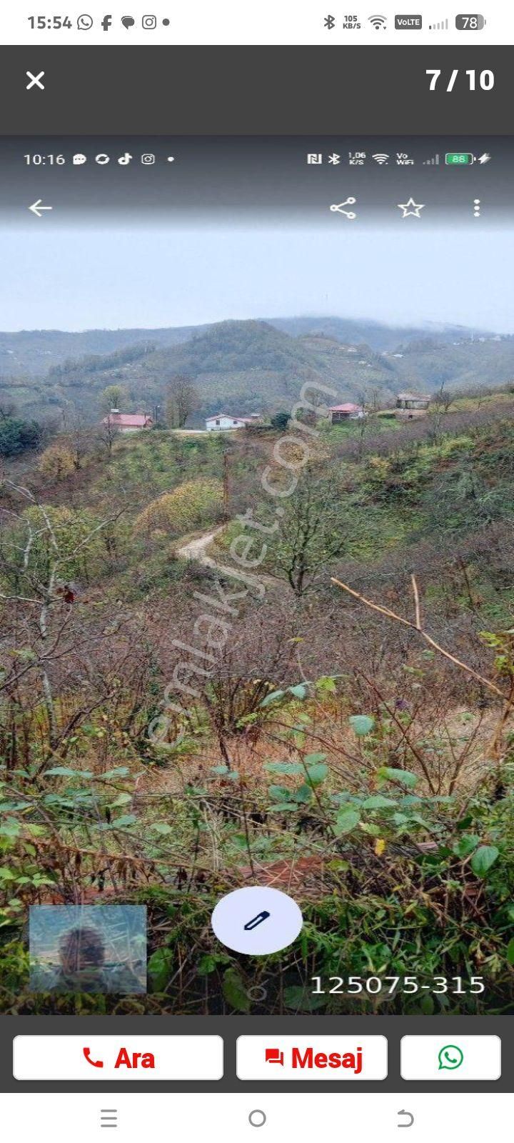 Perşembe Ortatepe J Köyünde Üzerinde İki Katlı Ev Olan Yedi Dönüm Arazi Satılık - Görsel 6