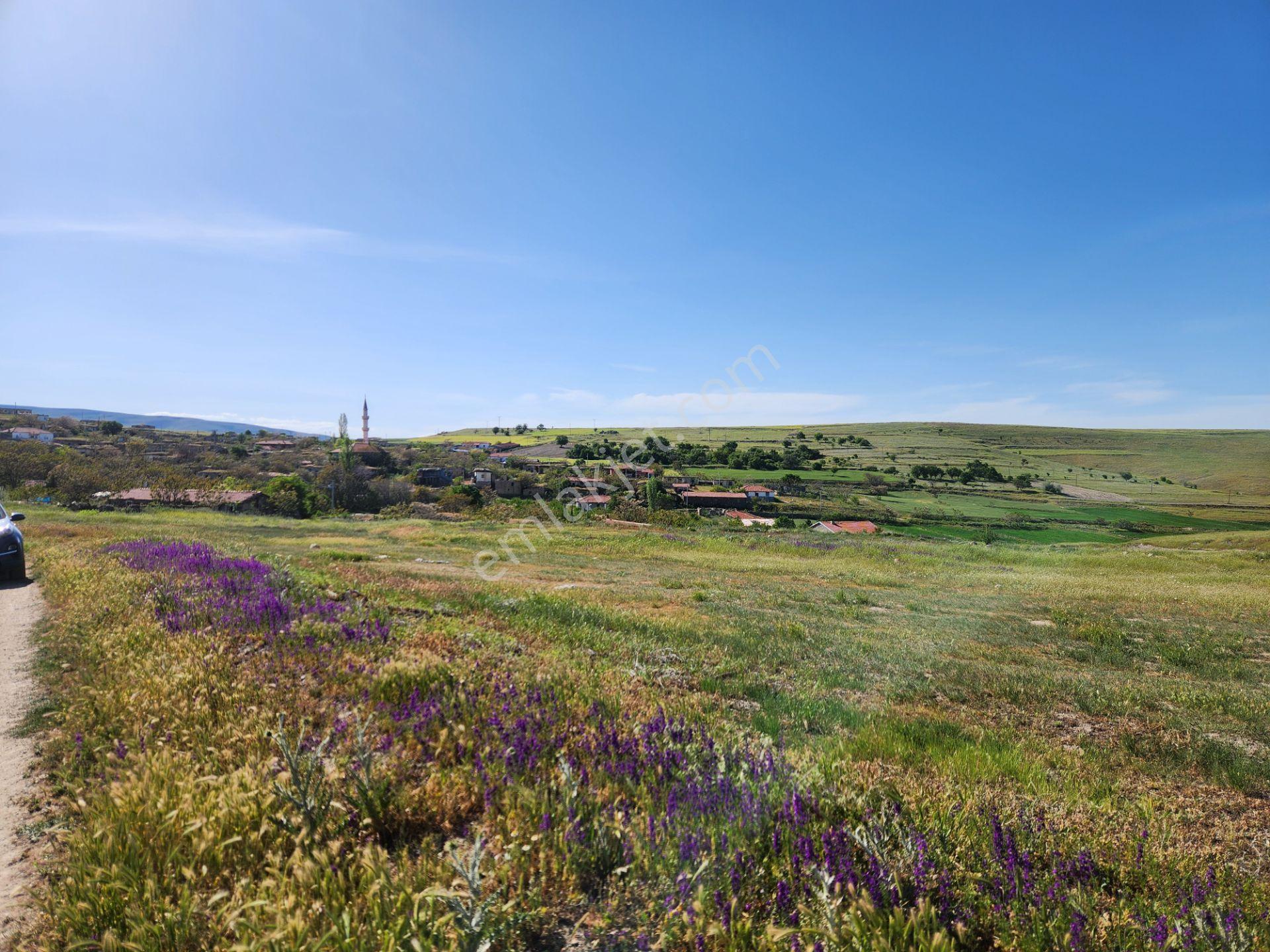 Emirdağ Avdan 460 M2 Köy İçi İmarlı Arsa Elektrik Yolu Suyu Var - Görsel 2