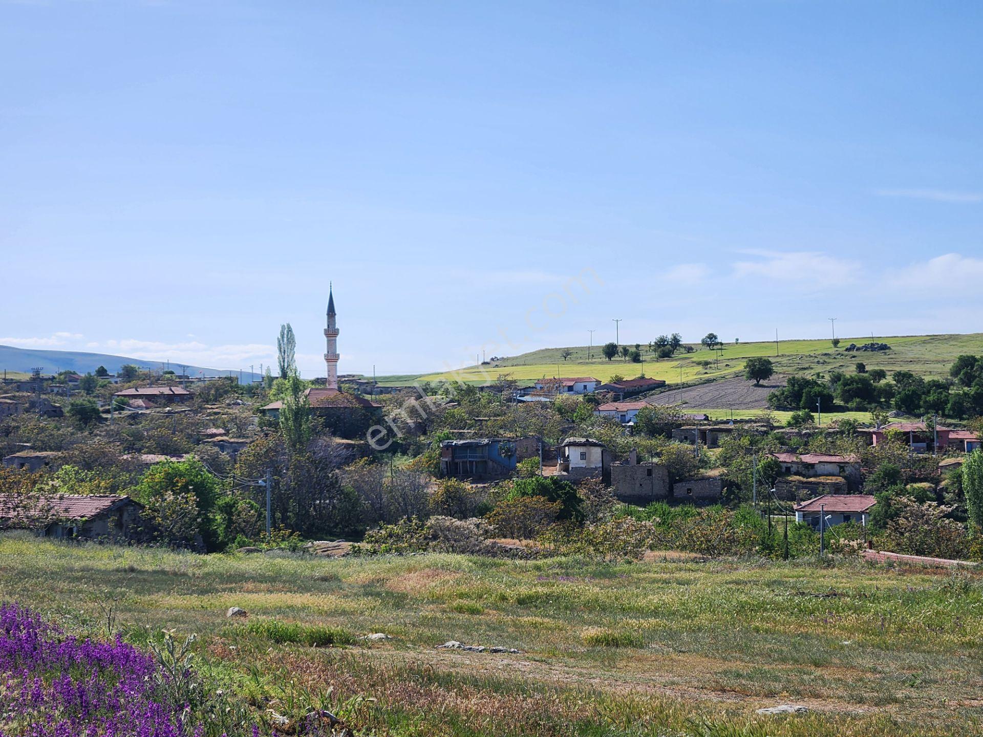 Emirdağ Avdan 460 M2 Köy İçi İmarlı Arsa Elektrik Yolu Suyu Var - Görsel 9