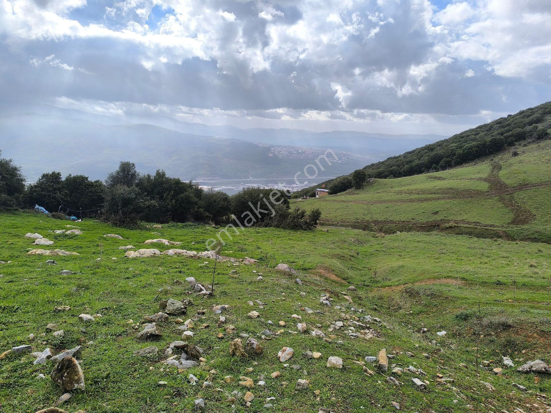 Gemlik Cihatlı'da Yatırımlık Tarla - Görsel 9