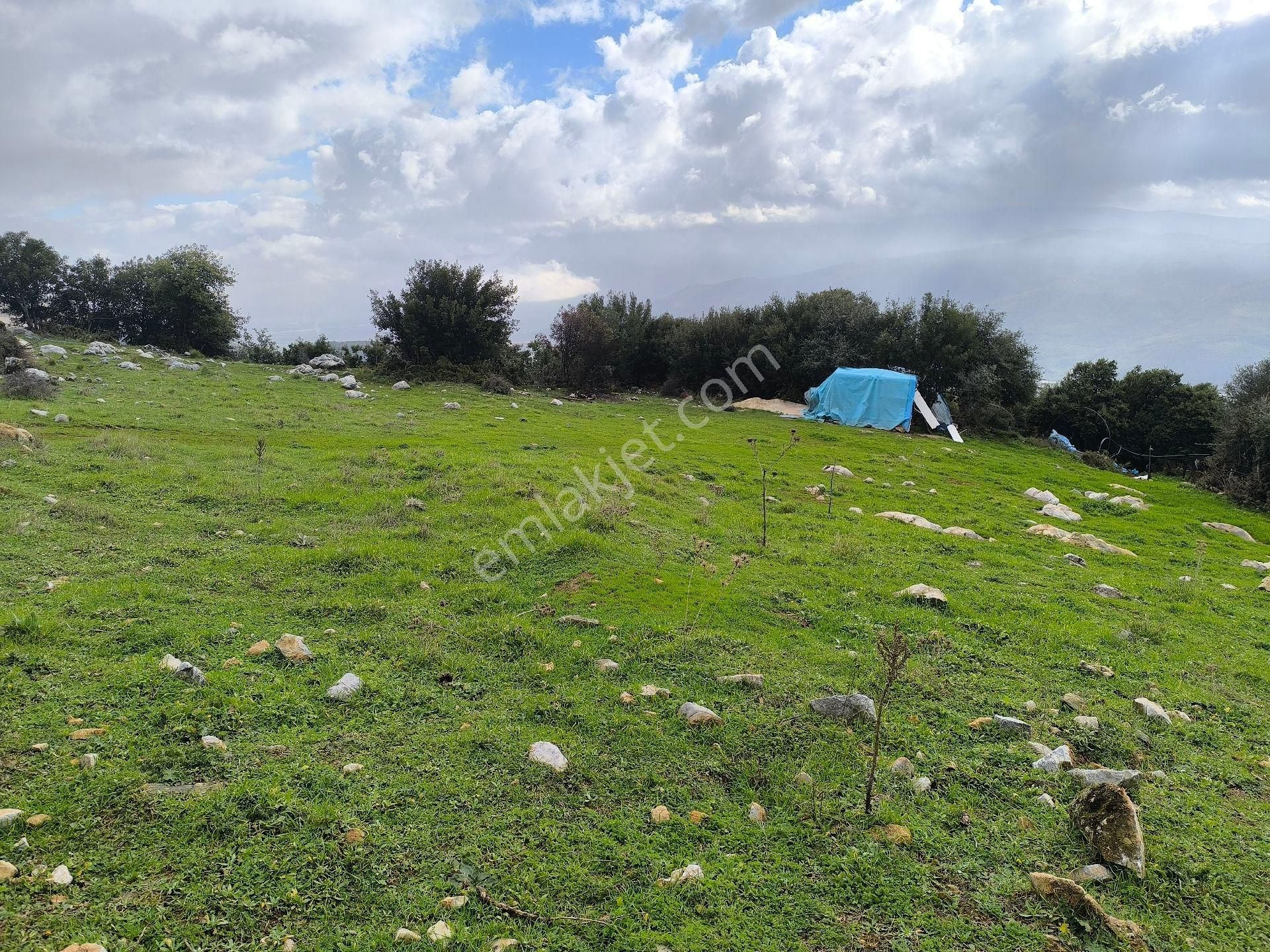 Gemlik Cihatlı'da Yatırımlık Tarla - Görsel 6