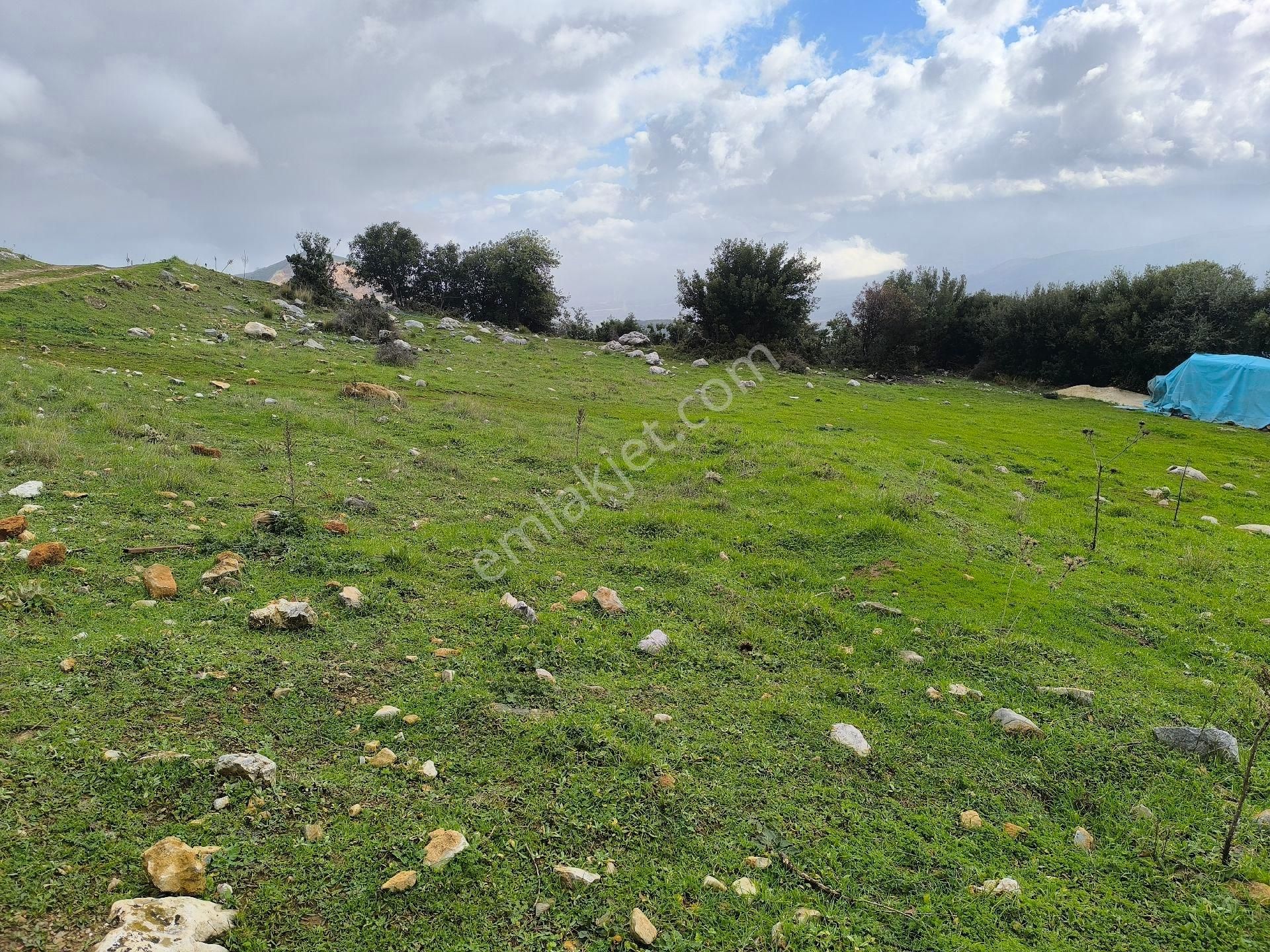 Gemlik Cihatlı'da Yatırımlık Tarla - Görsel 8