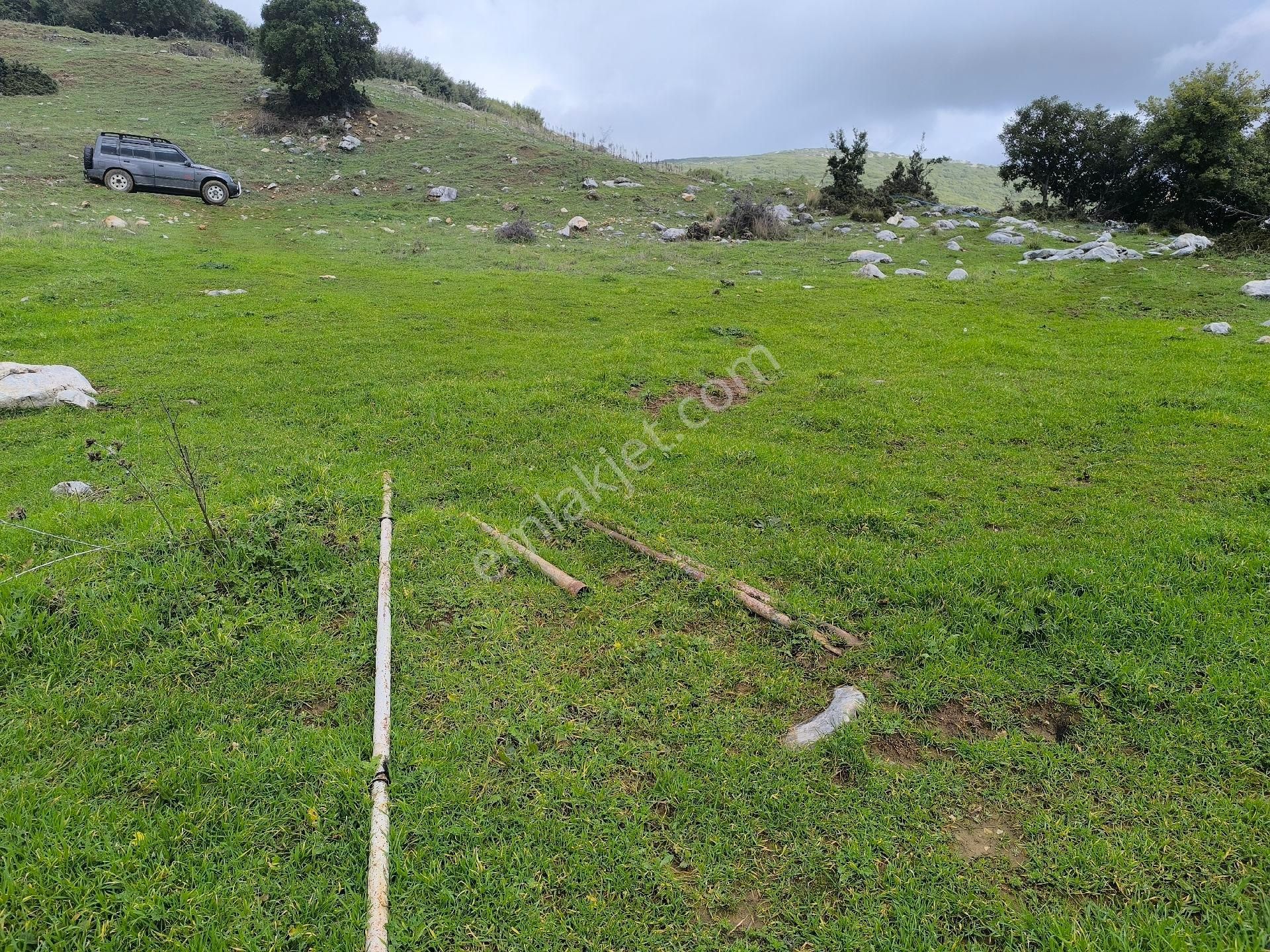 Gemlik Cihatlı'da Yatırımlık Tarla - Görsel 5