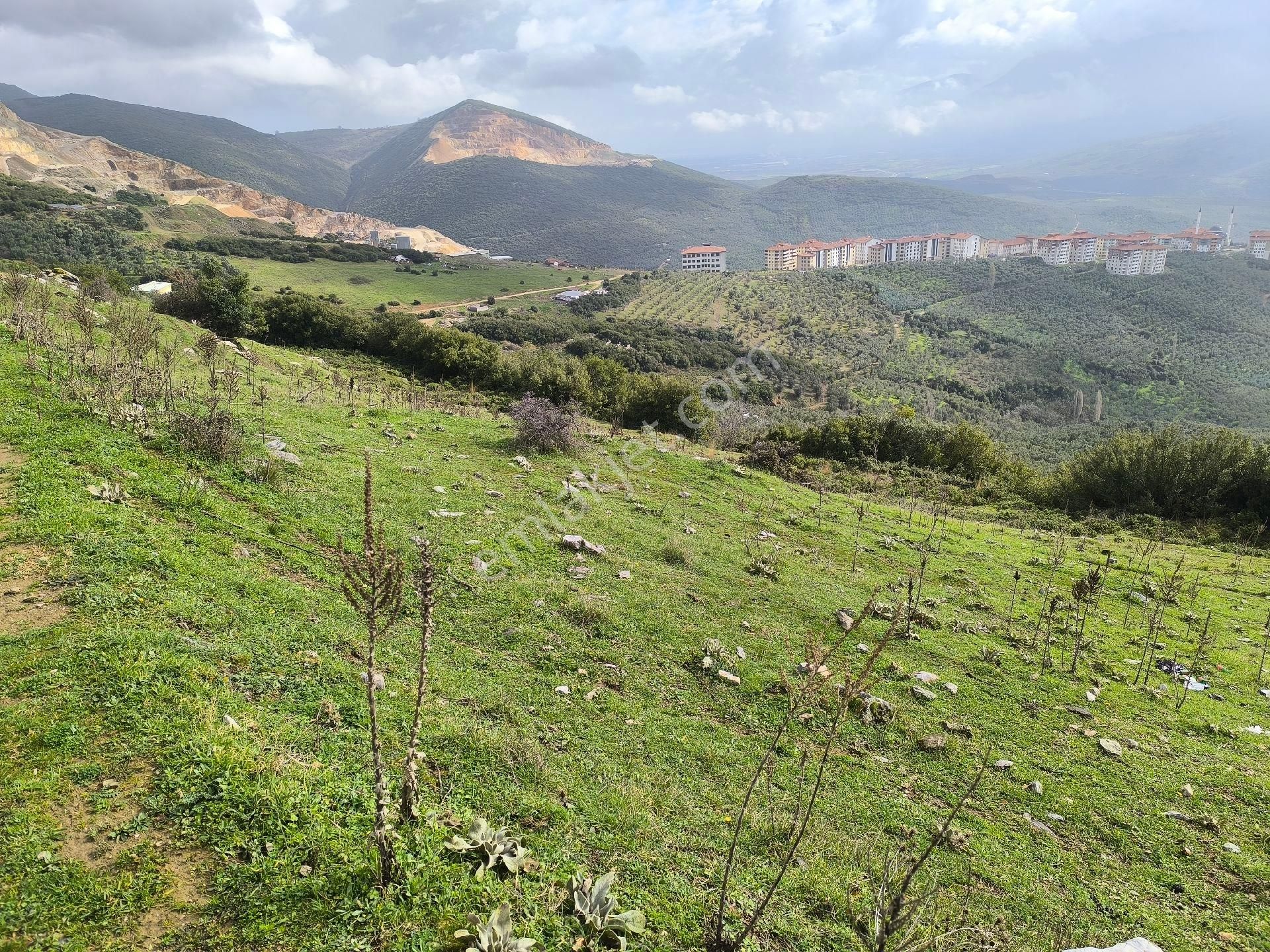 Gemlik Cihatlı'da Yatırımlık Tarla - Görsel 10
