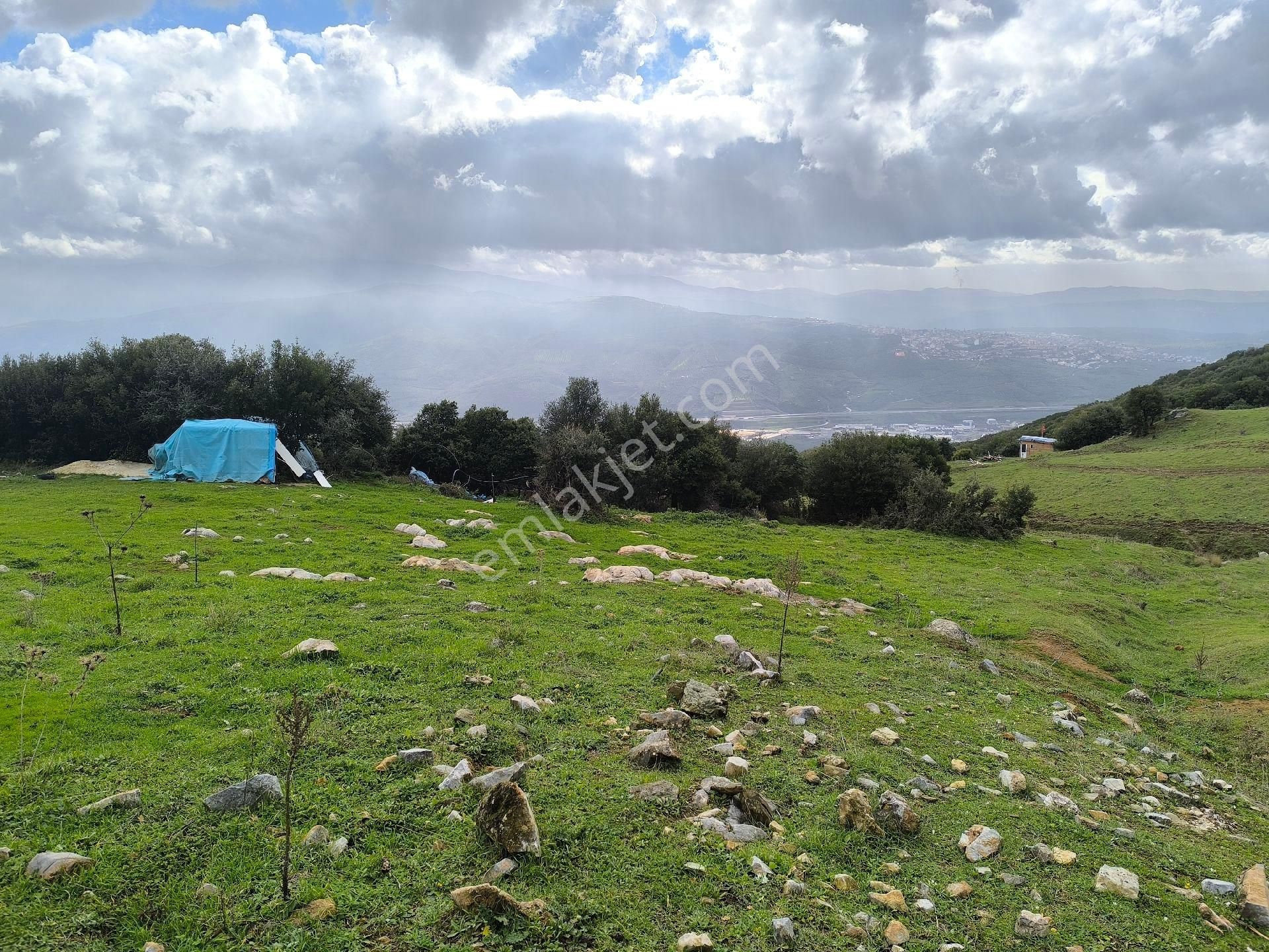 Gemlik Cihatlı'da Yatırımlık Tarla - Görsel 4
