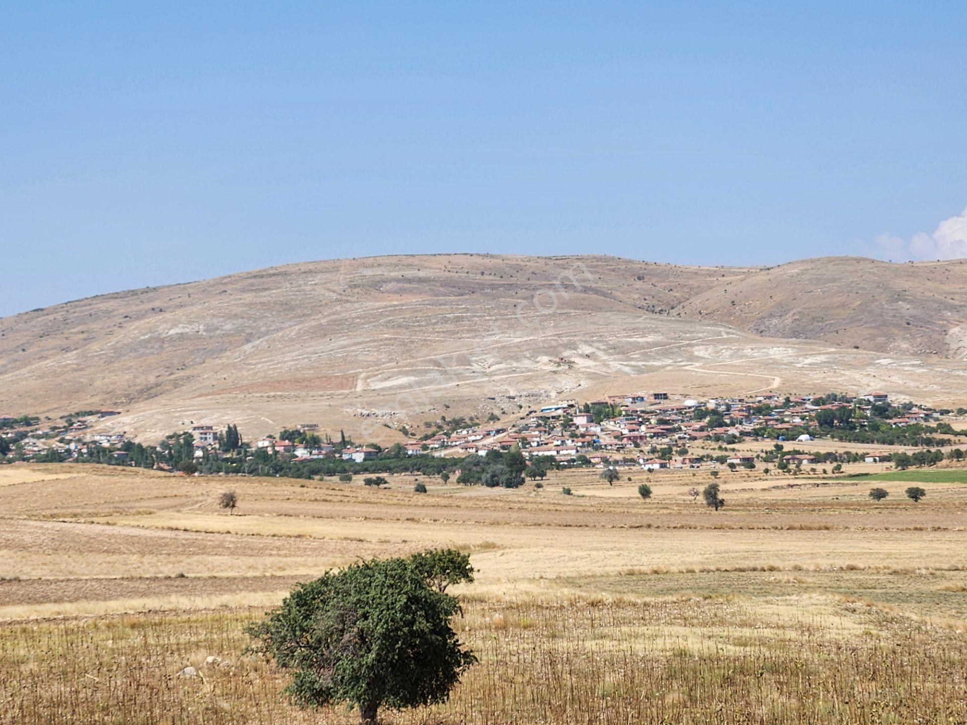Afyonkarahisar Merkez Kızıldağ Mah. 9200 M2 Tarla 290 Bin Tl