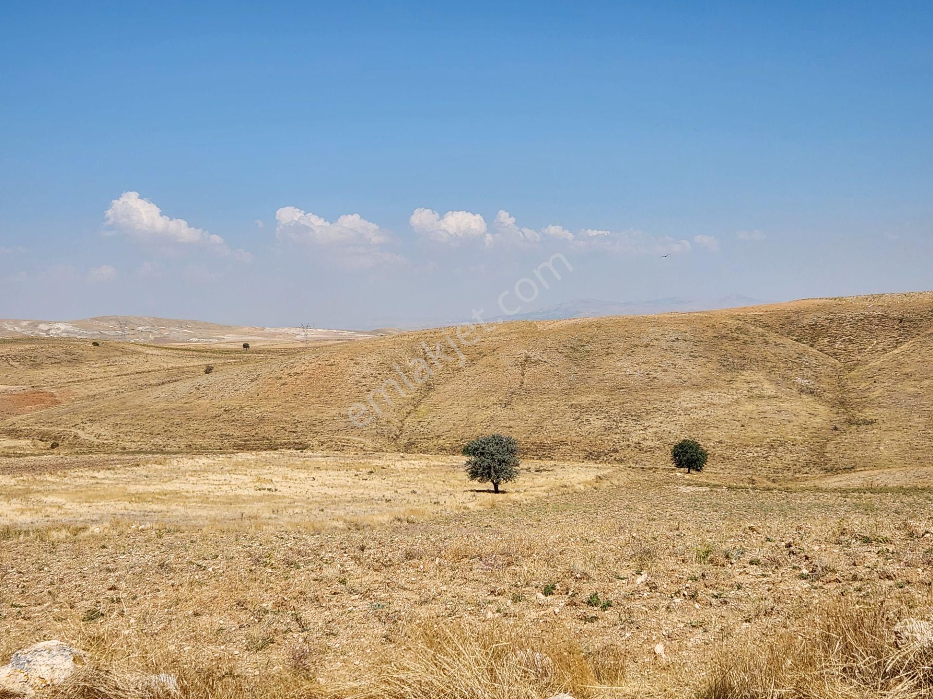 Afyonkarahisar Merkez Kızıldağ Mah. 9200 M2 Tarla 290 Bin Tl - Görsel 12