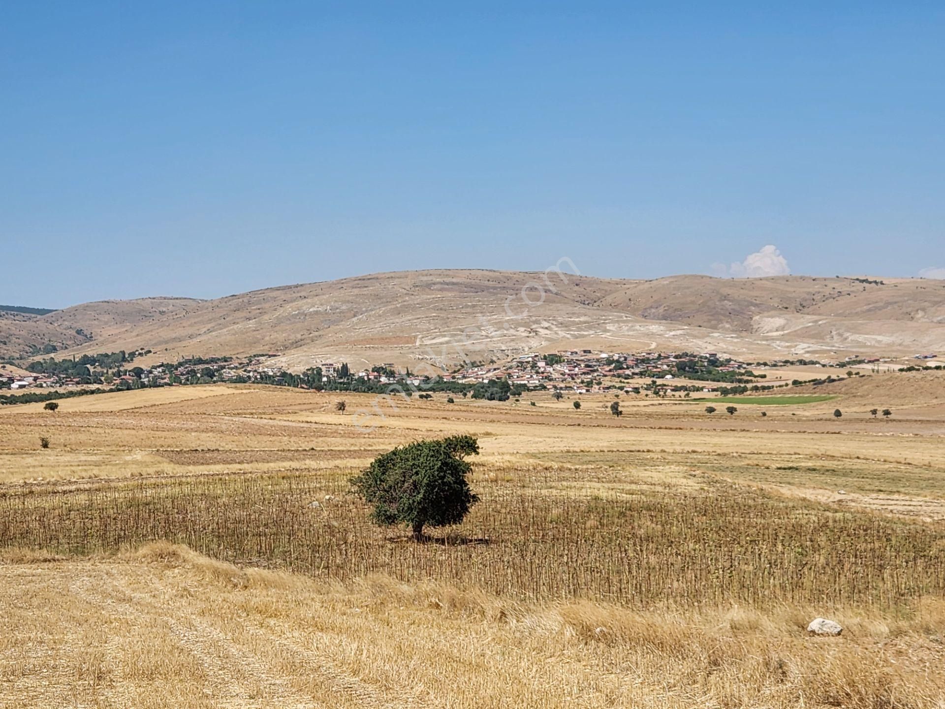 Afyonkarahisar Merkez Kızıldağ Mah. 9200 M2 Tarla 290 Bin Tl - Görsel 8