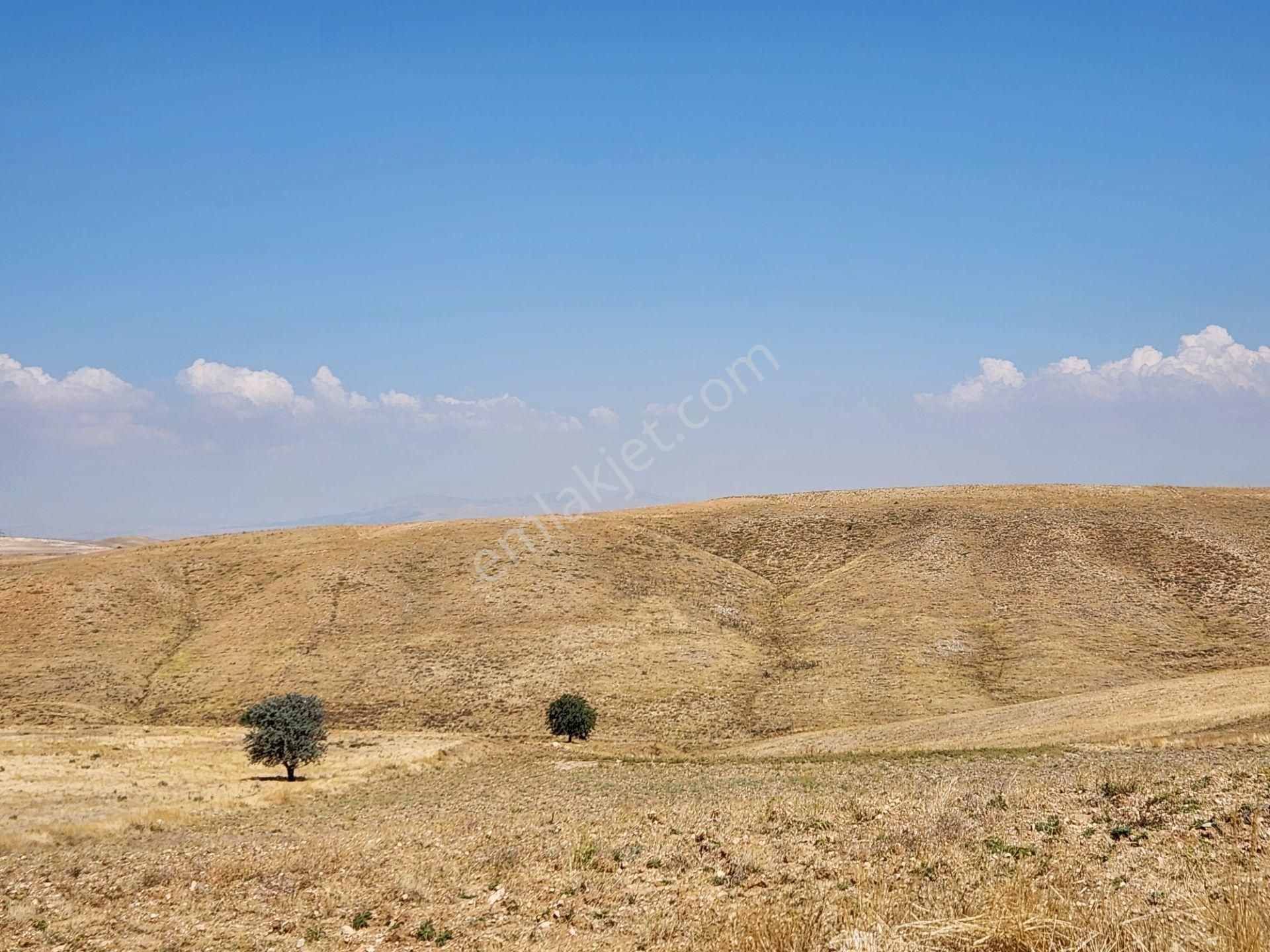 Afyonkarahisar Merkez Kızıldağ Mah. 9200 M2 Tarla 290 Bin Tl - Görsel 2