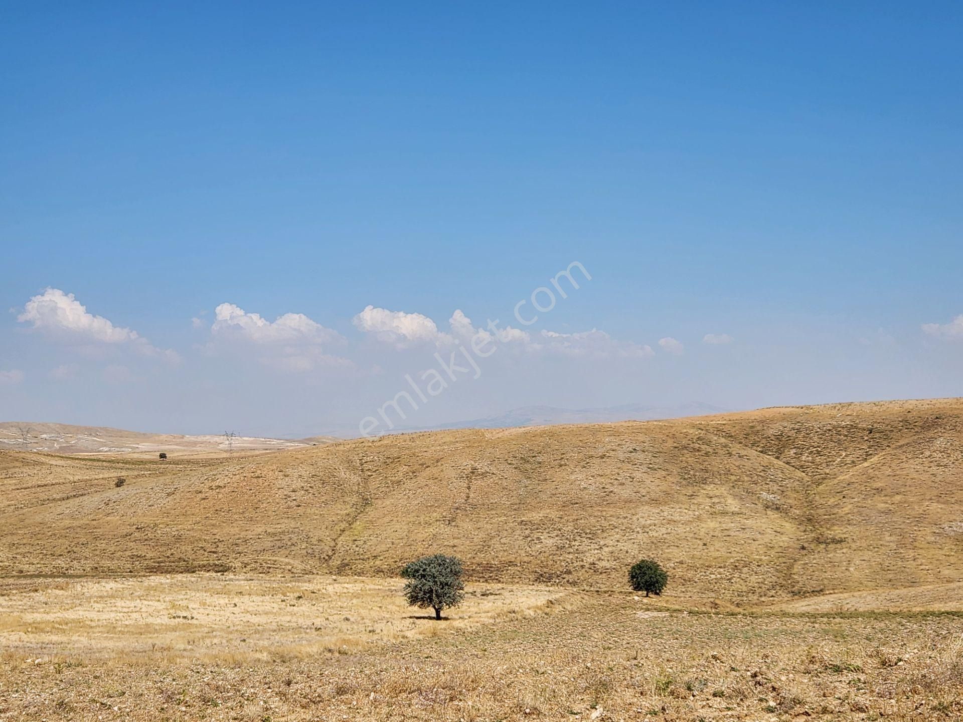 Afyonkarahisar Merkez Kızıldağ Mah. 9200 M2 Tarla 290 Bin Tl - Görsel 5