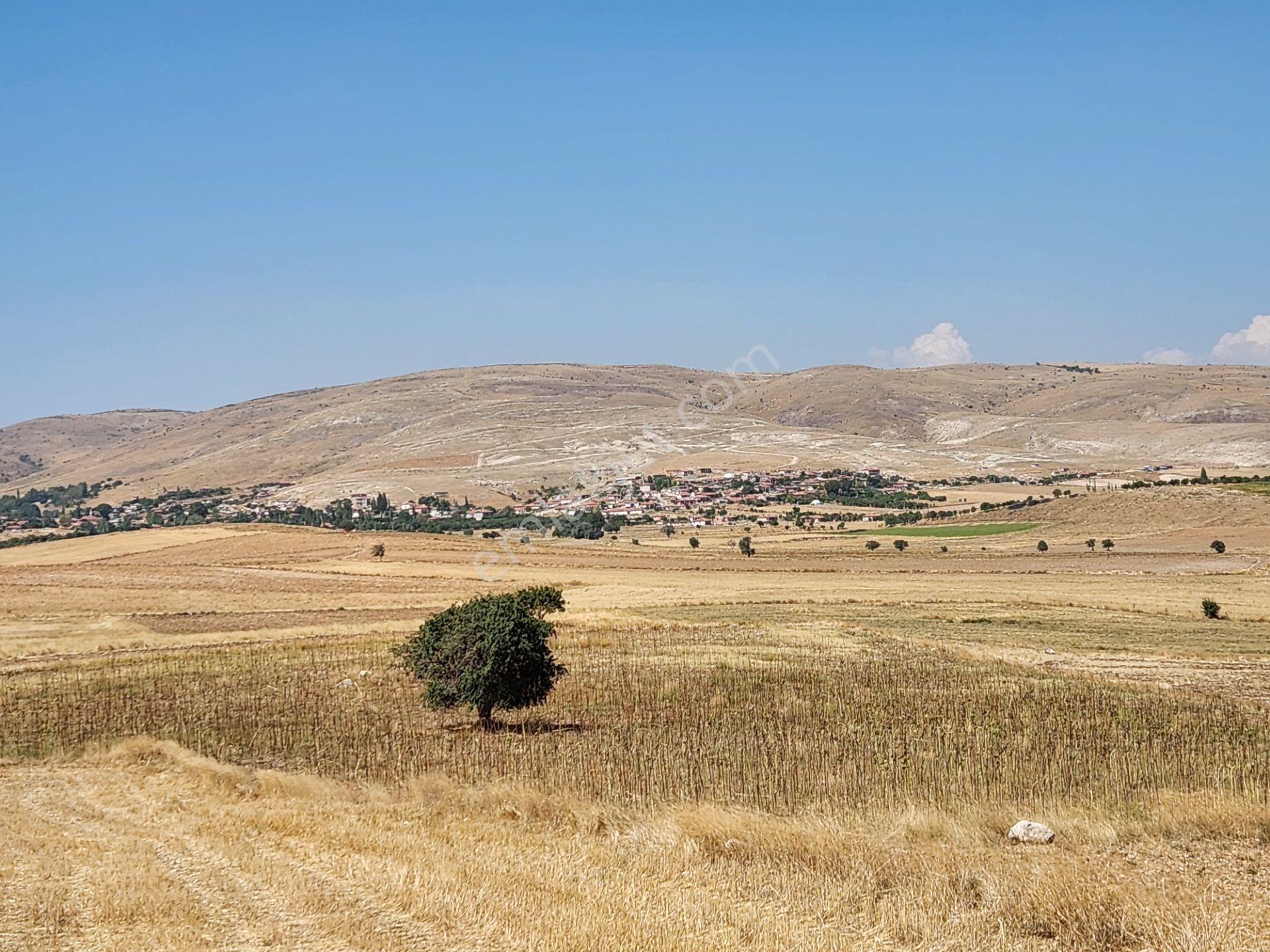Afyonkarahisar Merkez Kızıldağ Mah. 9200 M2 Tarla 290 Bin Tl - Görsel 10